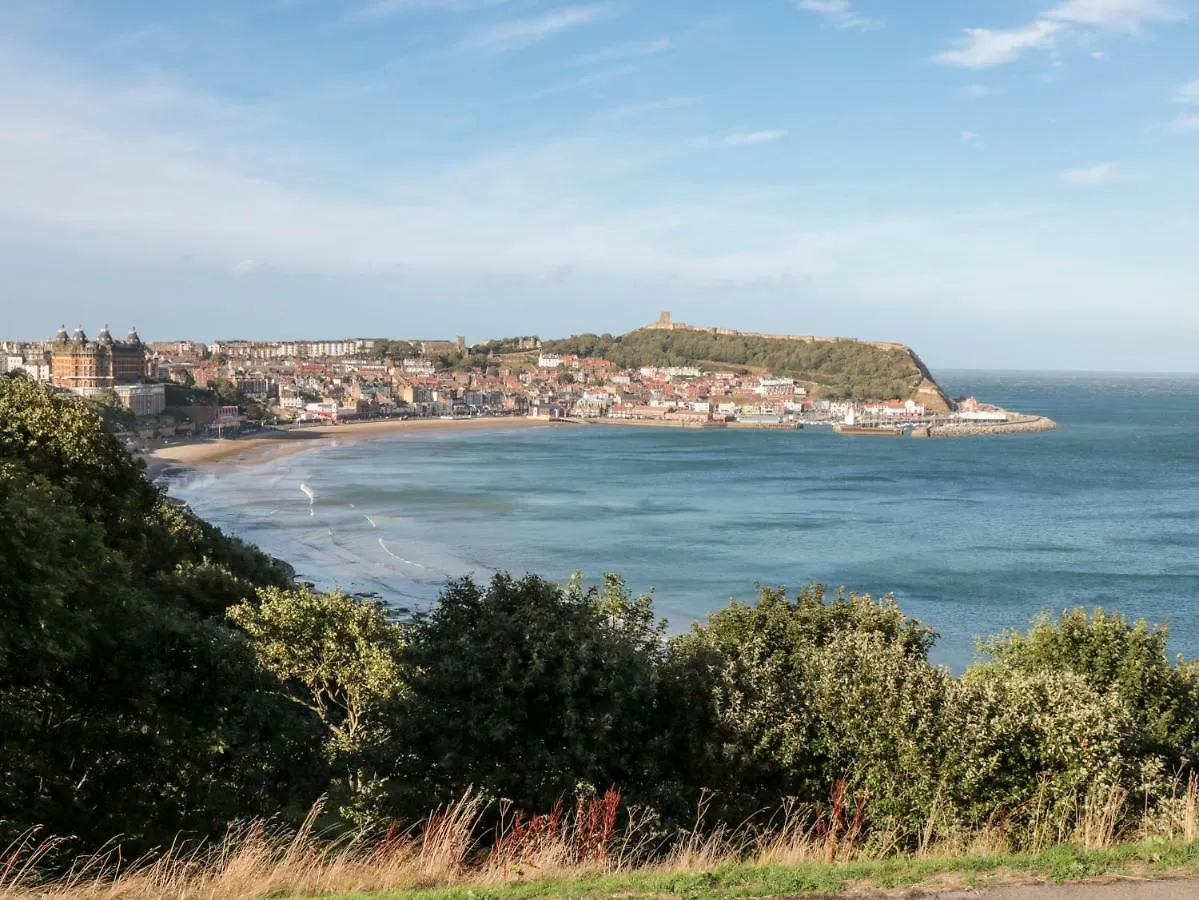 Bettys Plaice Villa Scarborough 0*,